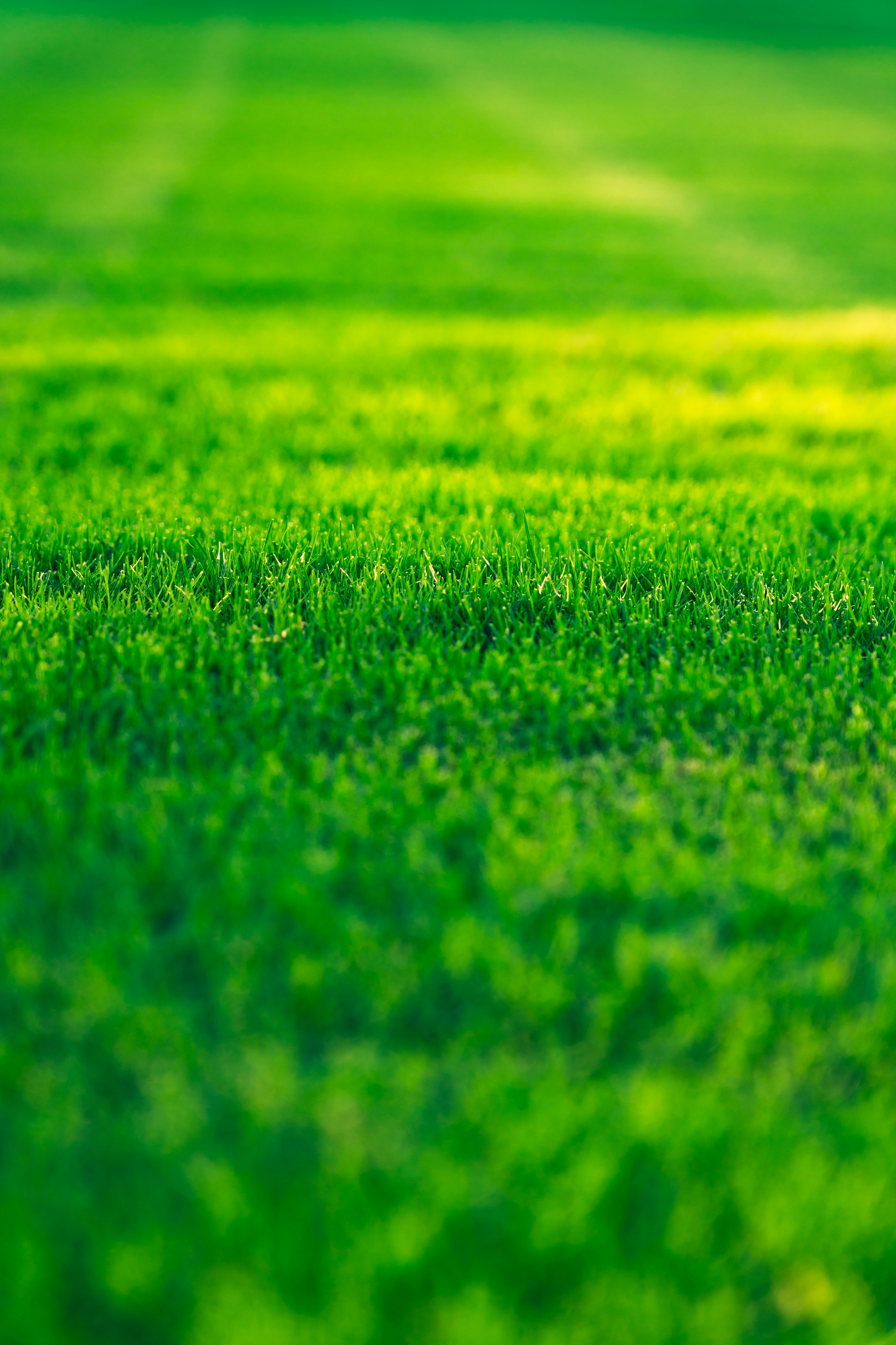 Lawn aeration service North Metro Atlanta GA